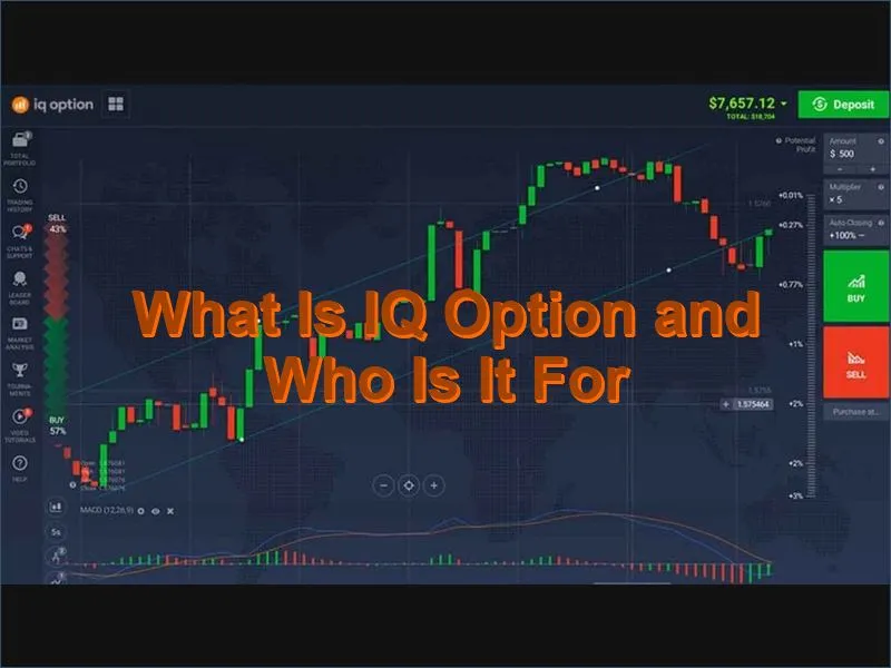 Overview of the IQ Option online trading platform and its target audience