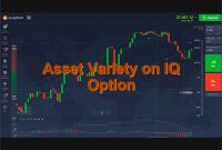 Asset Variety on IQ Option